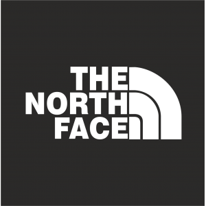 Sticker The North Face Carré