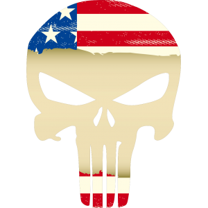 Autocollant Punisher USA Flag modèle 2