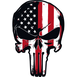 Autocollant Punisher USA Flag modèle 5