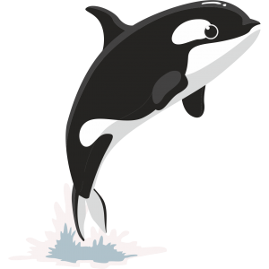 Autocollant Orca