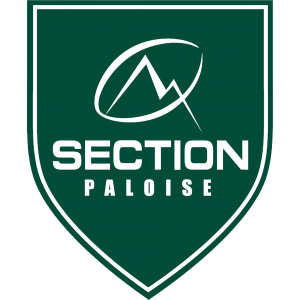 Autocollant Rugby Section Paloise